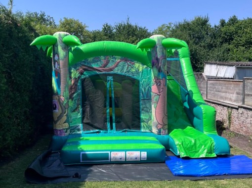 Jungle Fun